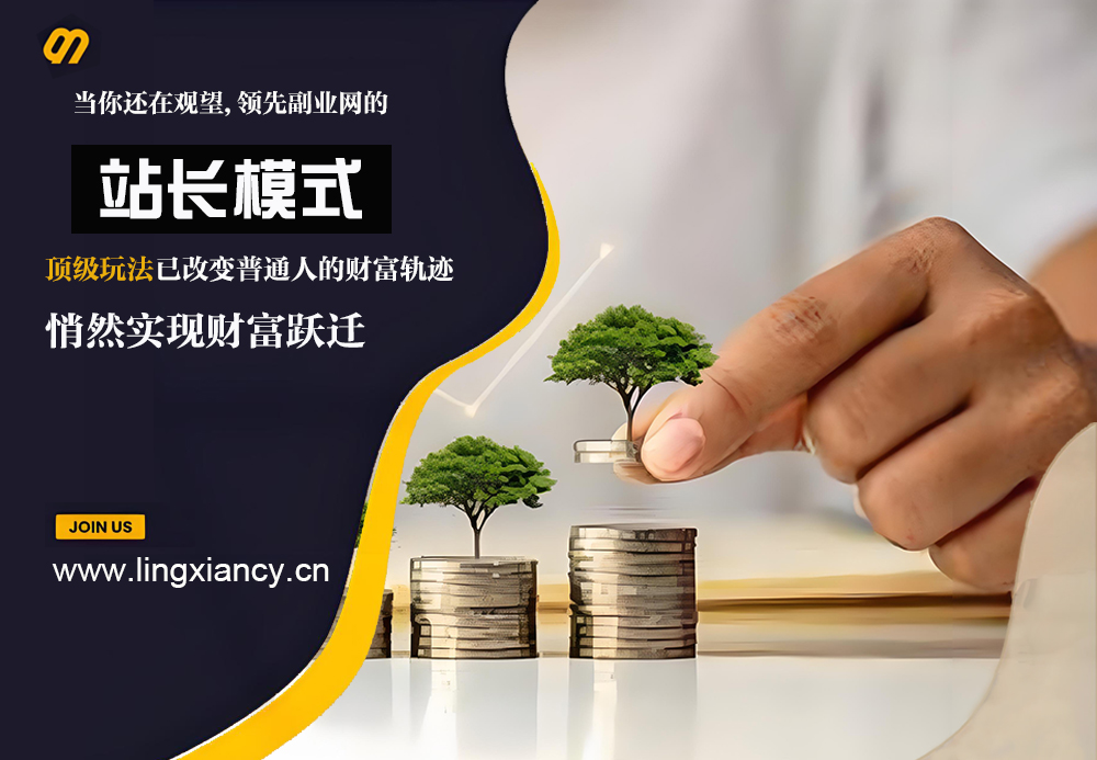 站长模式 —— 项目资源站的顶级玩法，全平台复刻+后端AI技术加持，演绎百万财富新逻辑-领先副业网